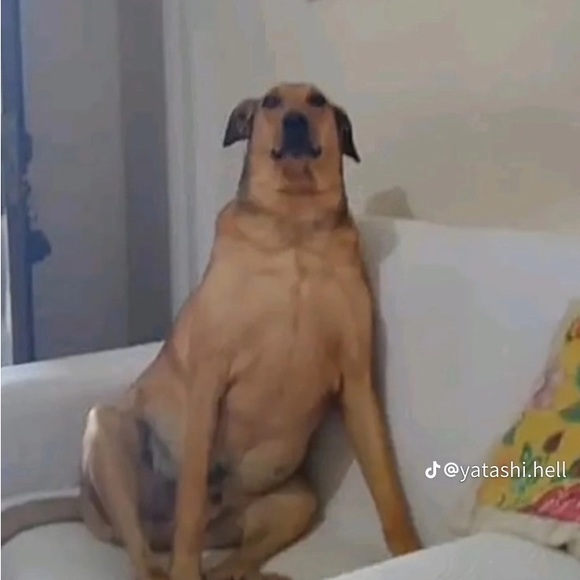 Meet your Posher, Booty - Picture 1 of 1